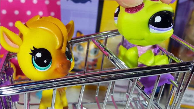 İkili & Tekli Miniş Açılımı!!! | LPSEM miniş