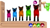 Learn Colors with Cats Xylophone Hammer Funny Animals Colors Videos for Babies and Kids