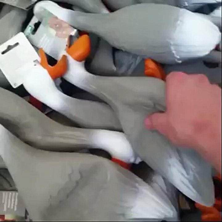 Duck Army - Vine-lUYZJRlOHyw