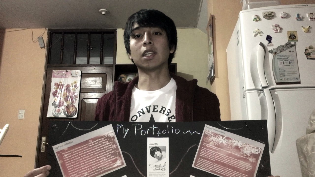 Proyect presentation
