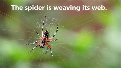 Mini Vocabulary Lessons