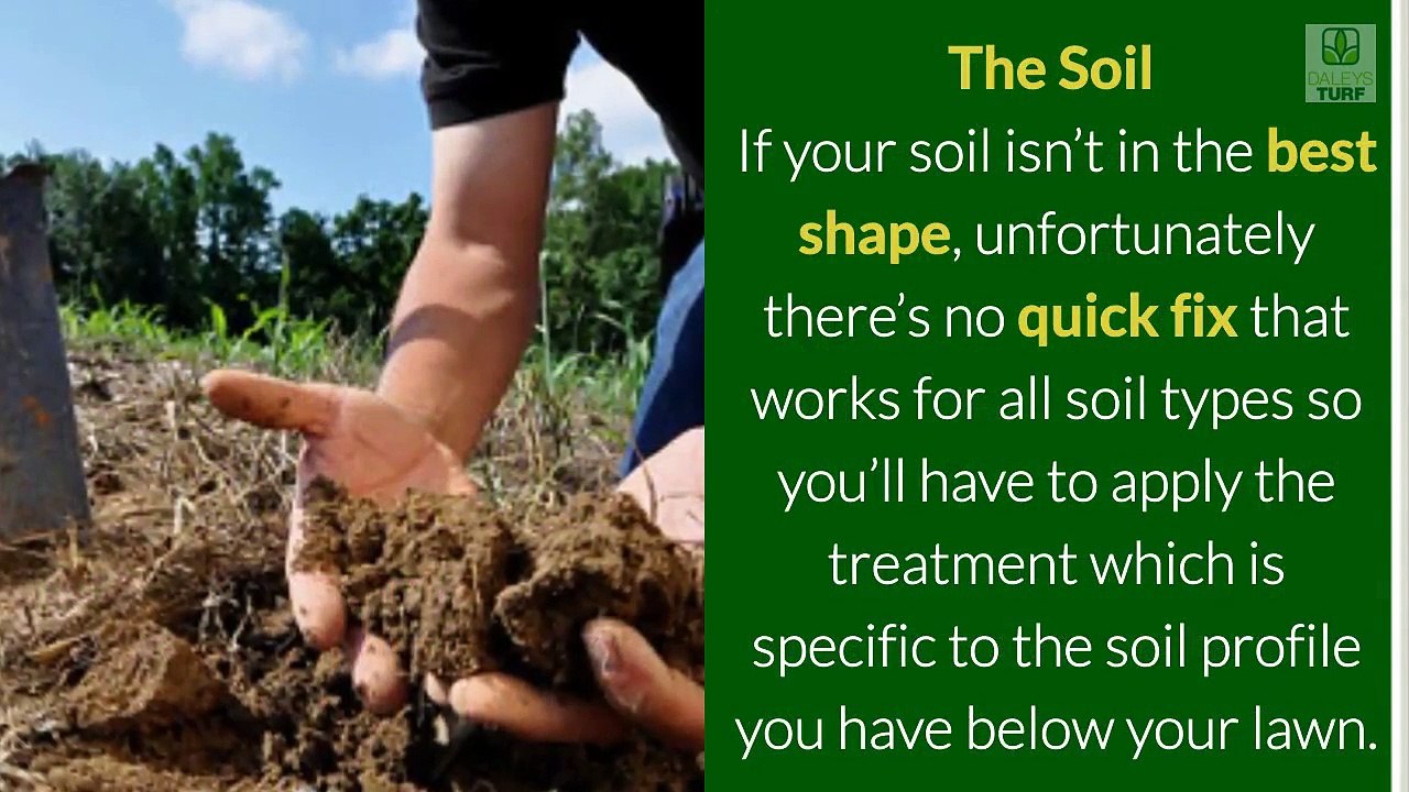 Spring Into the Start of Spring Lawn Care