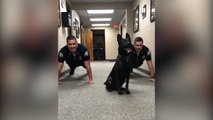 Adorable police dog does push-ups with officers as 'Eye of the Tiger' plays