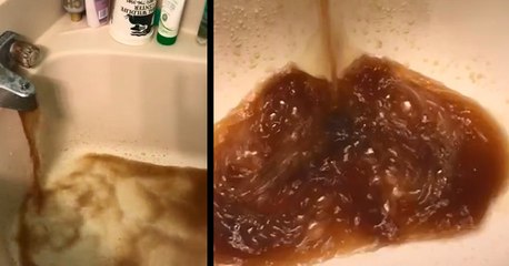 The City Told This Woman Her Water Was "Completely Safe" To Drink