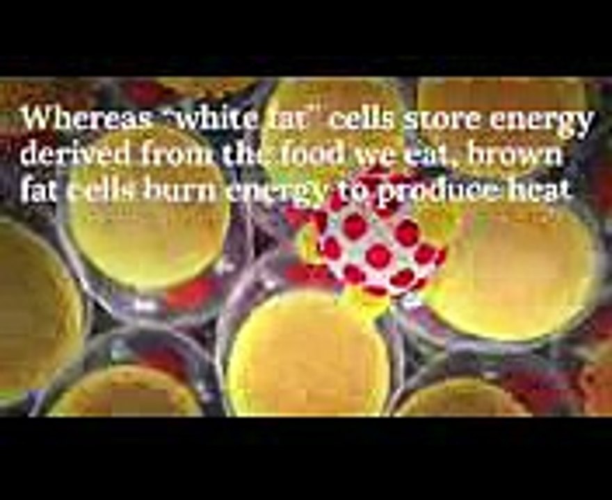 You Asked Is Being Cold Good For You A Groundbreaking Study From 1961 Reveals The Answer  TIME