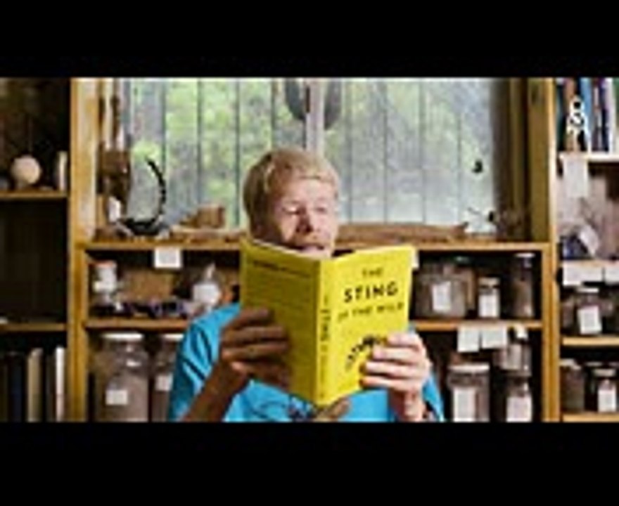 The Man Of 1000 Insect Stings