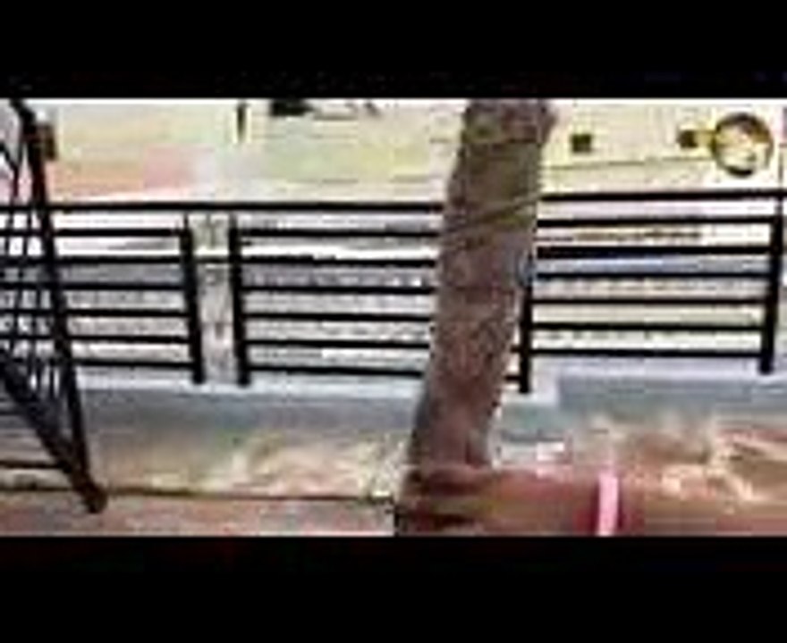 How to make Money Plant climber Stick  Money plant stick - Grow Faster from Gunny Bag