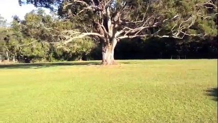 Sunset Ranch Hawaii Sunset Meadow