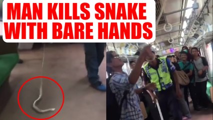 Man kills snake with bare hands on board a crowded train, Watch | Oneindia News