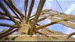 See the 1,000-Year-Old Windmills Still in Use Today  National Geographic