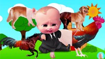 Learn Farm Animals Pig Dog Wrong Heads Old MacDonald Rooster Horse Finger Family Song Nursery Rhymes