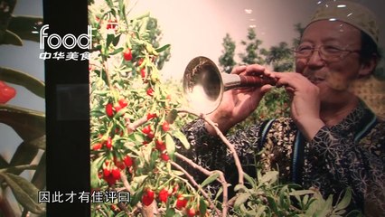 《八辈子学吃》第三集：枸杞
