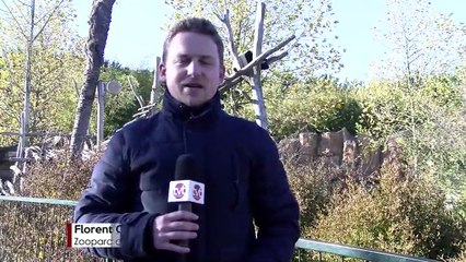 A LA UNE/  "Visite privée " de N Sarkozy à Beauval