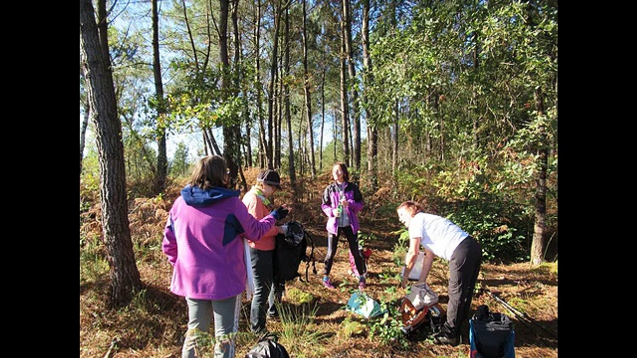 DEUXIEME VIDEO-07/10/217-Saint Aubin Le Taillan-21/10/2017Saint Médard en Jalles 04/11/2017- Moulis -18/11/2017-STE HELENE- étang de Cousseau ( reco
