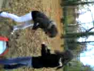 haka 2eme partie et combat