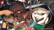 Amazing Cutting Fish, Big Fish Fastest Cutting Skills, Fish Market in Cambodia - Part 05