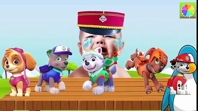 Learn Colors With Paw Patrol for Children, Learn Colours for Kids with Paw Patrol Finger Family song