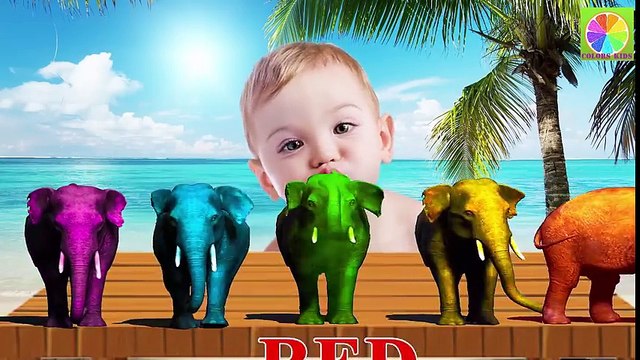 Learn Colors With Ryder Paw Patrol for Children Baby cry Finger Family song Nursery Rhymes for kid (2)