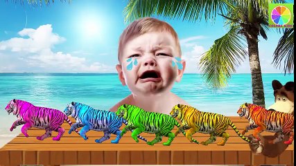 Learn Colors with Tiger Baby Cry Learn Colors With Finger Family Nursery Rhyme Song Toy Baby