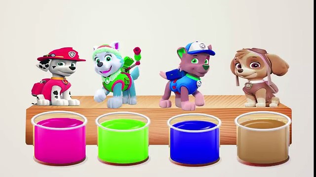 Paw Patrol! Learn Colors! Bathing Colors Fun and Colors for Children to Learn! Nursery Rhymes song