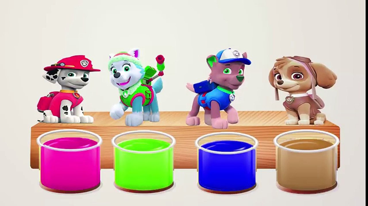 Paw Patrol! Learn Colors! Bathing Colors Fun and Colors for Children to Learn! Nursery Rhymes song