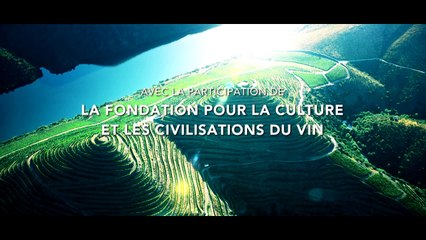 Des vignes et des hommes