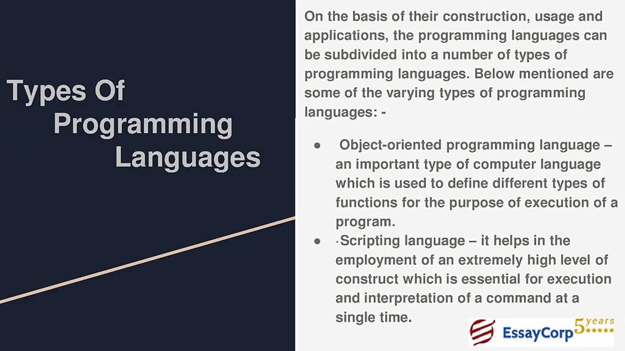 Programming Assignment Help