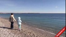 Konyaaltı Plajı'nda 'Akdeniz Foku' heyecanı