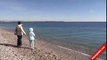 Konyaaltı Plajı'nda 'Akdeniz Foku' heyecanı