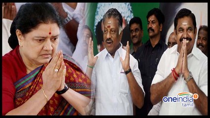 சசிகலாவை உறுப்பினர் பொறுப்பில் இருந்து நீக்க வேண்டியது தான் பாக்கி!- வீடியோ