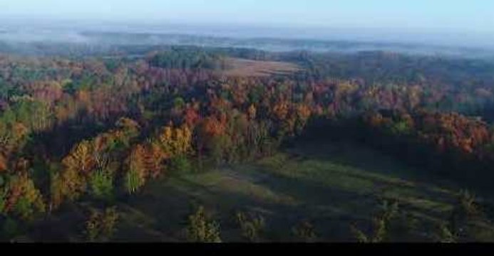 Drone Footage Captures Fog Wall Over Ridge Spring, South Carolina