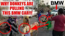 BMW owner use donkey to pull his car to show displeasure over bad service, Watch | Oneindia News