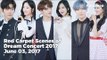 Red Carpet Scenes of Dream Concert 2017