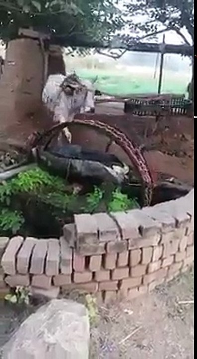 old technical in pakistan