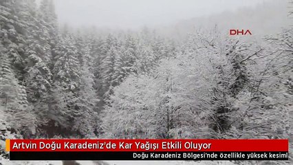 Artvin Doğu Karadeniz'de Kar Yağışı Etkili Oluyor