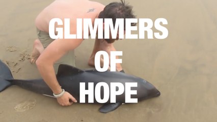 A Tribute to People Who Restore Faith in Humanity