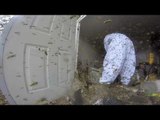 Professional Exterminator Removes Massive Hornets' Nest