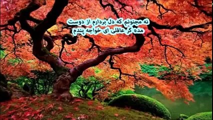 دکلمه شعر سعدی با موزیک آرم - -   چنان در قید مهرت پایبندم