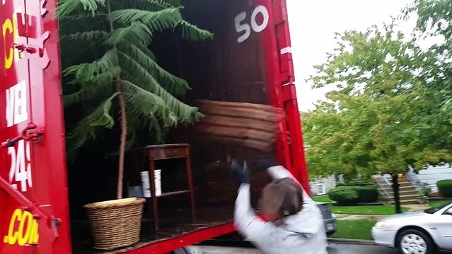 JUNK REMOVAL CHICAGO 100 CUBIC YARDS REMOVED IN ONE DAY