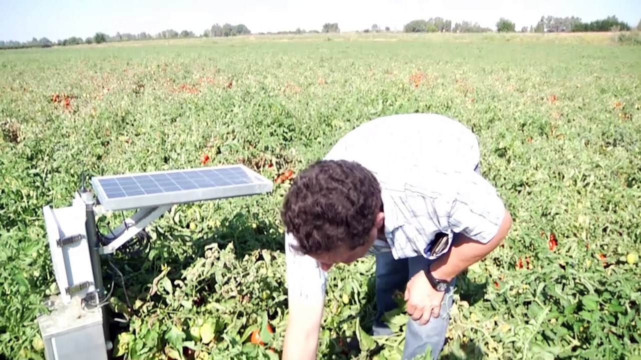 El sector agrícola es responsable del 70% del c...