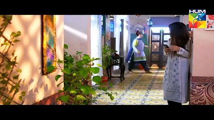 Mein Maa Nahin Banna Chahti Episode 12 - 23 November 2017