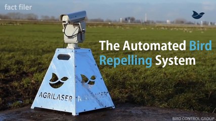 The automated bird repelling system