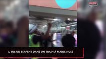 Indonésie : Un homme tue à mains nues un serpent dans un train (vidéo)