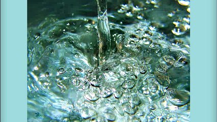 Alimentos que podrían quitarte la vida