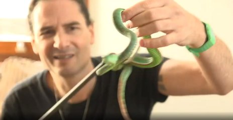 30 Yıldır Kendine Yılan Zehri Enjekte Eden Steve Ludwin: Nezle Ve Gribe Yakalanmıyorum