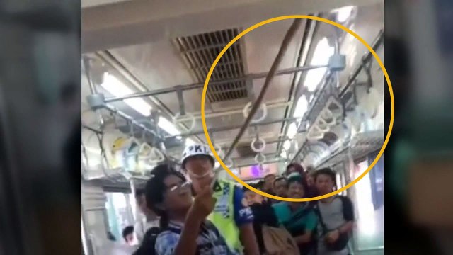 용감한 인니 승객...맨손으로 뱀 잡아 / YTN