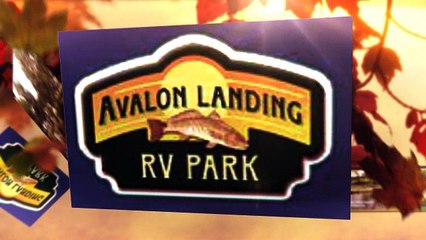 Camping Pensacola | (850) 995-5898