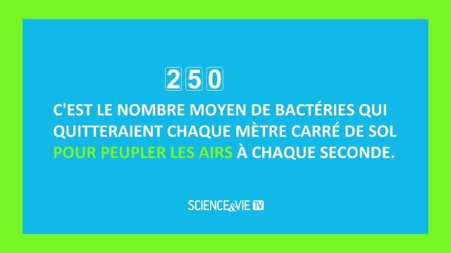 Le petit peuple des nuages