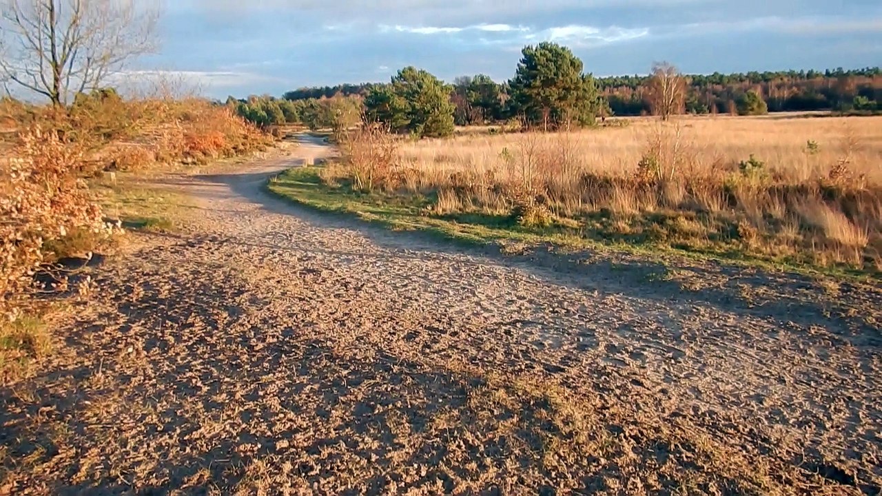 Thursday Walk