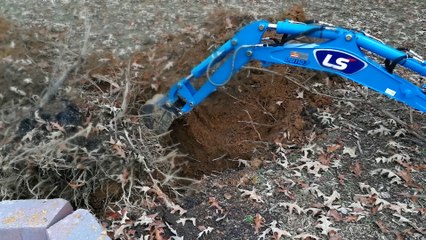 How I Used My LS MT125 Tractor Backhoe to Bury a Stump Successfully 🌱
